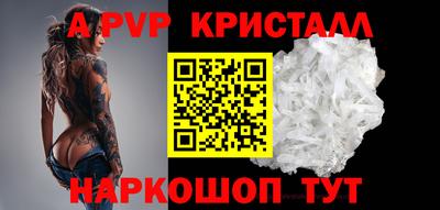 PSILOCYBIN Гатчина
