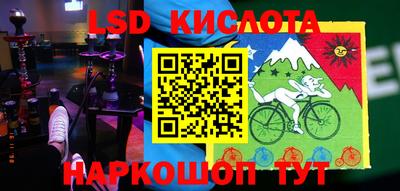 PSILOCYBIN Гатчина