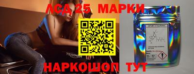 PSILOCYBIN Гатчина