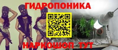 PSILOCYBIN Гатчина
