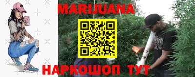 PSILOCYBIN Гатчина