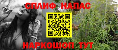 PSILOCYBIN Гатчина