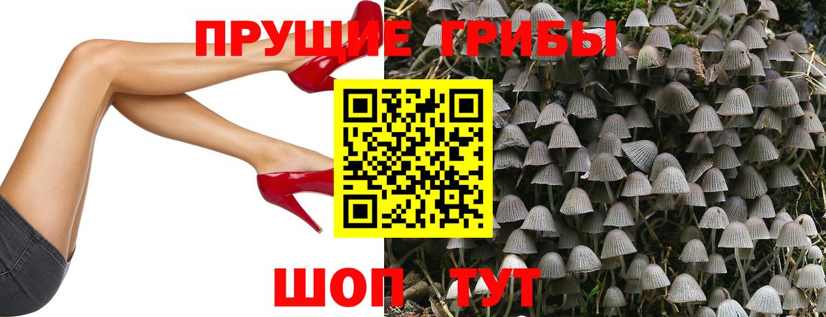 как найти закладки  Псилоцибиновые грибы Psilocybe  Медногорск  Вход с VPN  Псилоцибиновые грибы Magic Shrooms 